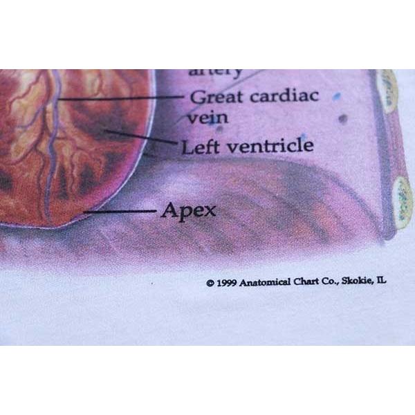 Hanes デッドストック☆90s Anatomical Chart Co. THE HEART Hanes デッドストック☆90s Anatomical Chart Co. THE HEART