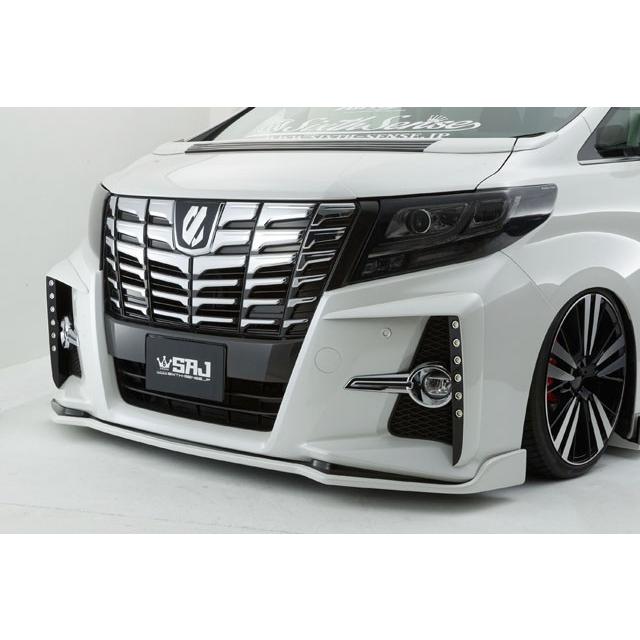 30系アルファード Sグレード フロントフラップスポイラー FRP未塗装