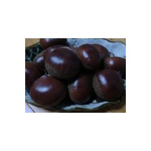 笠間の栗 箱詰 約2.5〜3.0kg |  | 01