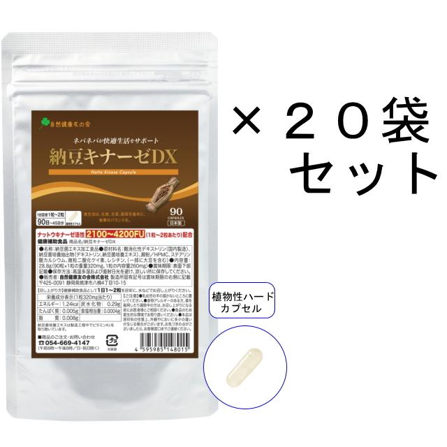 納豆キナーゼDX 徳用90日〜45日分／20袋セット ナットウキナーゼ 納豆