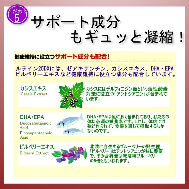 ルテイン25DX 徳用90日分／2袋セット Floraglo フローラグロー ルテイン ルティン ケミン社 フリー体 サプリ 天然 サプリメント_10