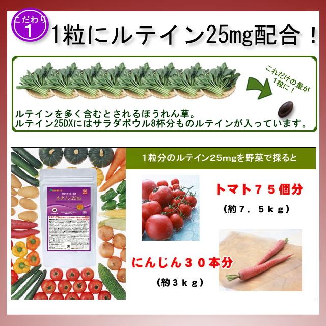 ルテイン25DX 徳用90日分／2袋セット Floraglo フローラグロー ルテイン ルティン ケミン社 フリー体 サプリ 天然 サプリメント_6