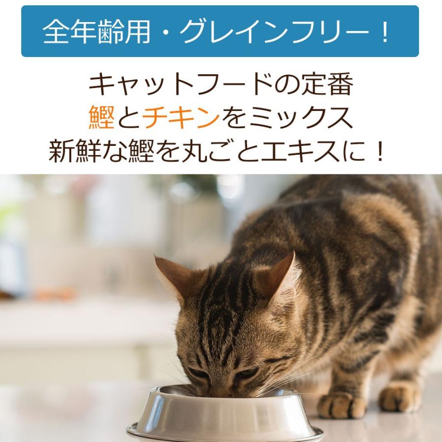 Dearmateグレインフリー キャットフード 鰹 チキン 250g 獣医師開発 Dmc003 獣医師 宿南章の愛情ごはん療法食 通販 Yahoo ショッピング