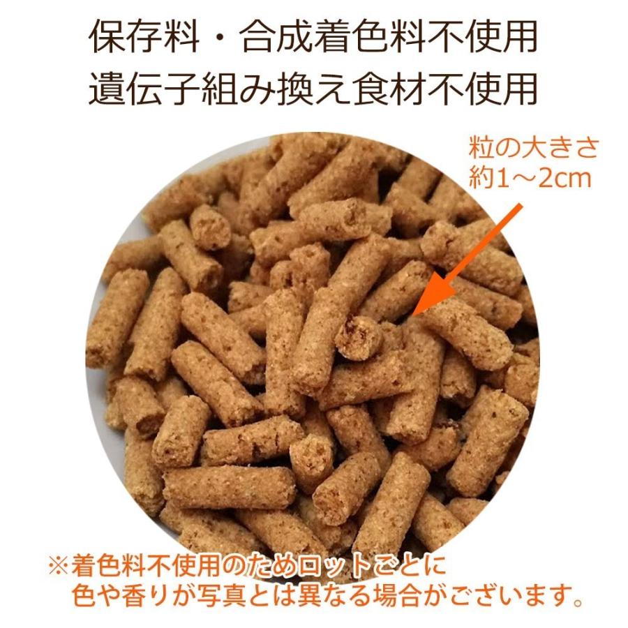 Dr.宿南のキセキのごはん 【定期購入】グレインフリー カンガルー 1kg