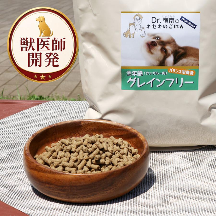 Dr.宿南のキセキのごはん グレインフリー カンガルー 100g 初回お試し