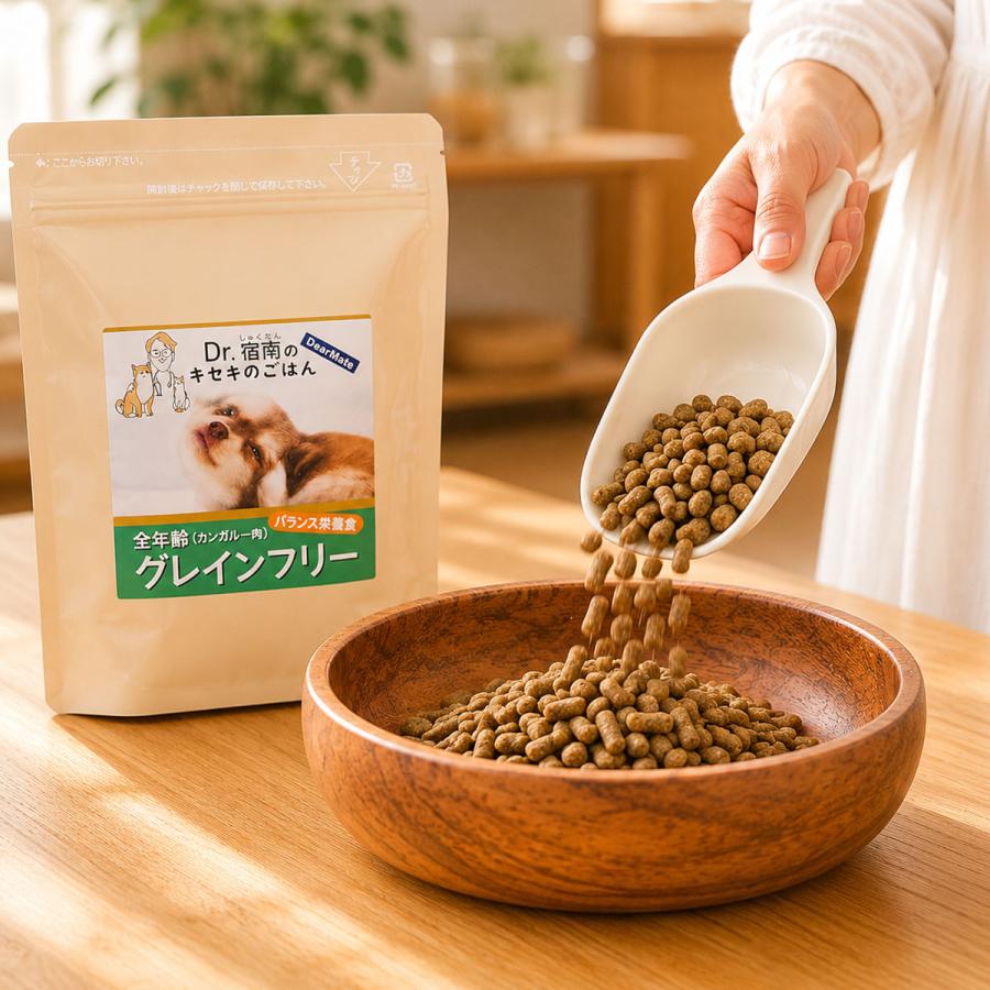 Dr.宿南のキセキのごはん　グレインフリー　カンガルー1kg✖️2袋 Dr.宿南のキセキのごはん グレインフリー カンガルー 100g 初回お試し