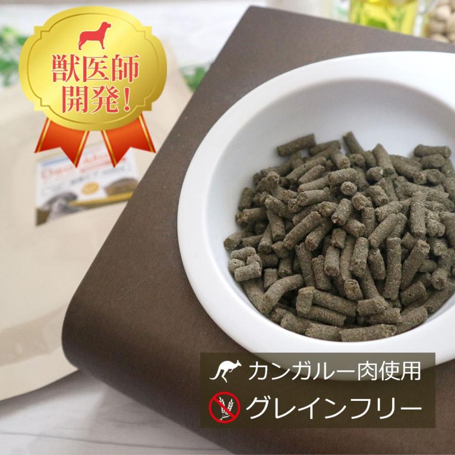 定期購入】Dr.宿南のキセキのごはん（旧・DearMate）GF皮膚の健康ケア 