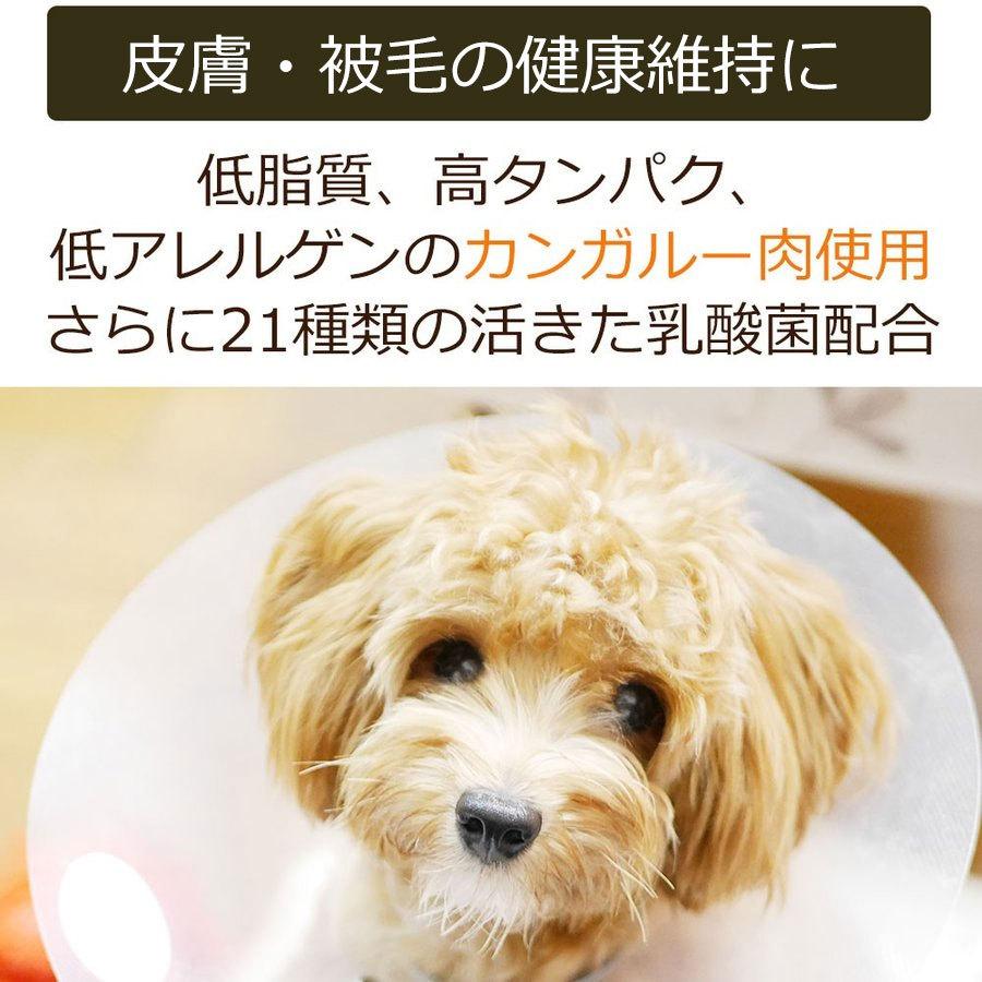 Dearmate Gf皮膚ケア グレインフリー 1kg 犬用療法食 獣医師開発 国産 カンガルー肉 犬 Dmd005 獣医師 宿南章の愛情ごはん療法食 通販 Yahoo ショッピング