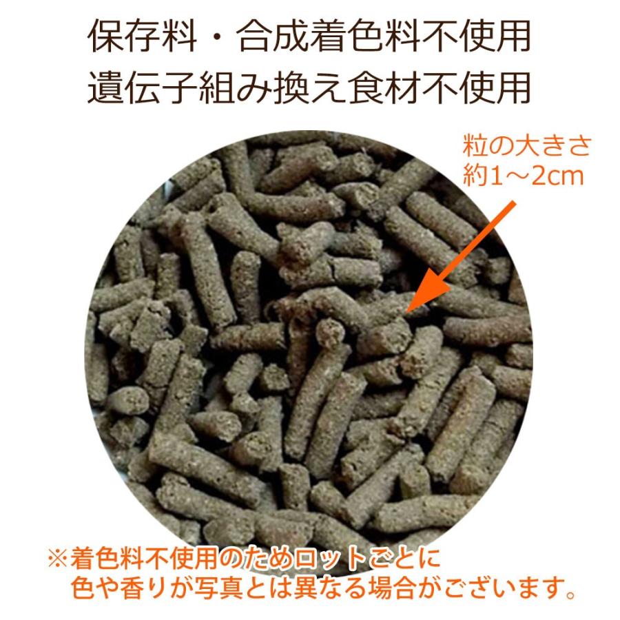 Dr.宿南のキセキのごはん GF皮膚の健康ケア（グレインフリー）100g