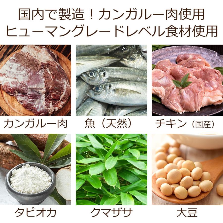 Dr.宿南のキセキのごはん GF皮膚の健康ケア（グレインフリー）100g