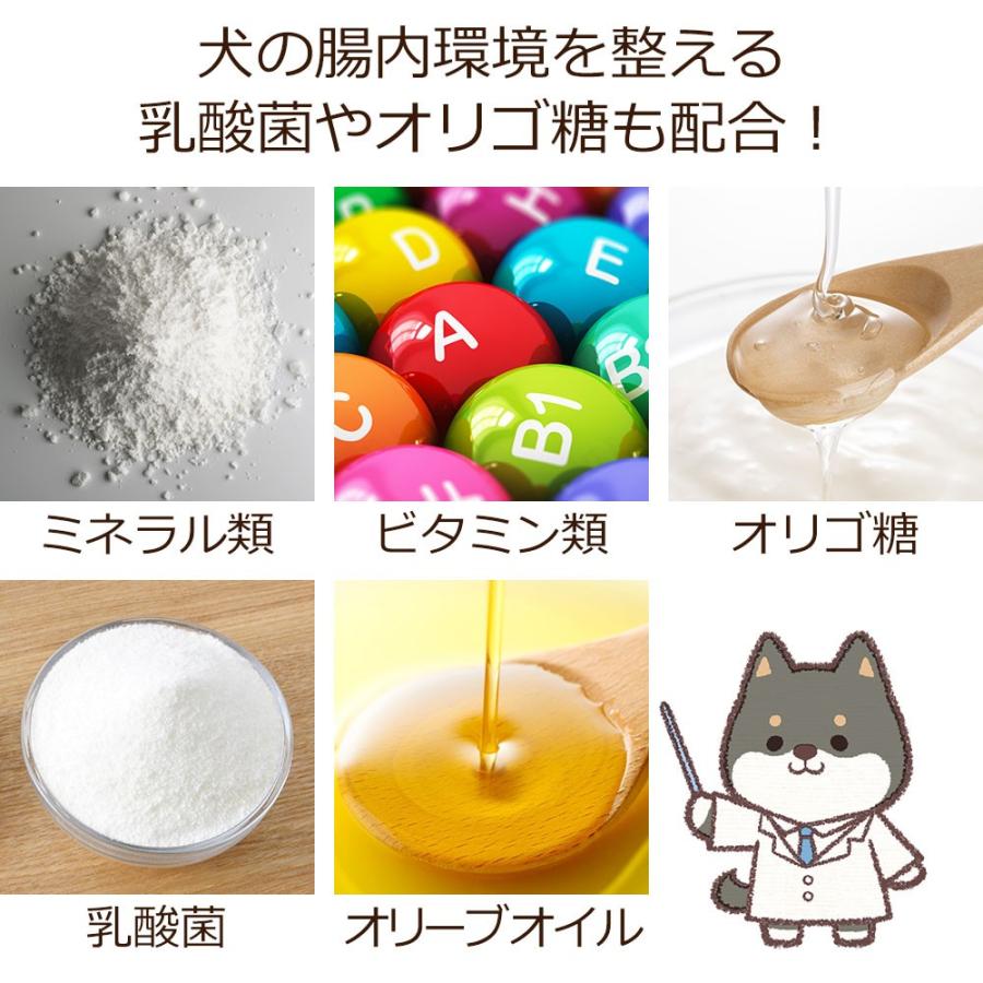 Dr.宿南のキセキのごはん GF皮膚の健康ケア（グレインフリー）100g
