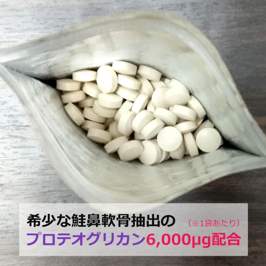 わんちゃんの為のグルコサミン　60粒/犬用サプリメント/関節ケア |  | 02