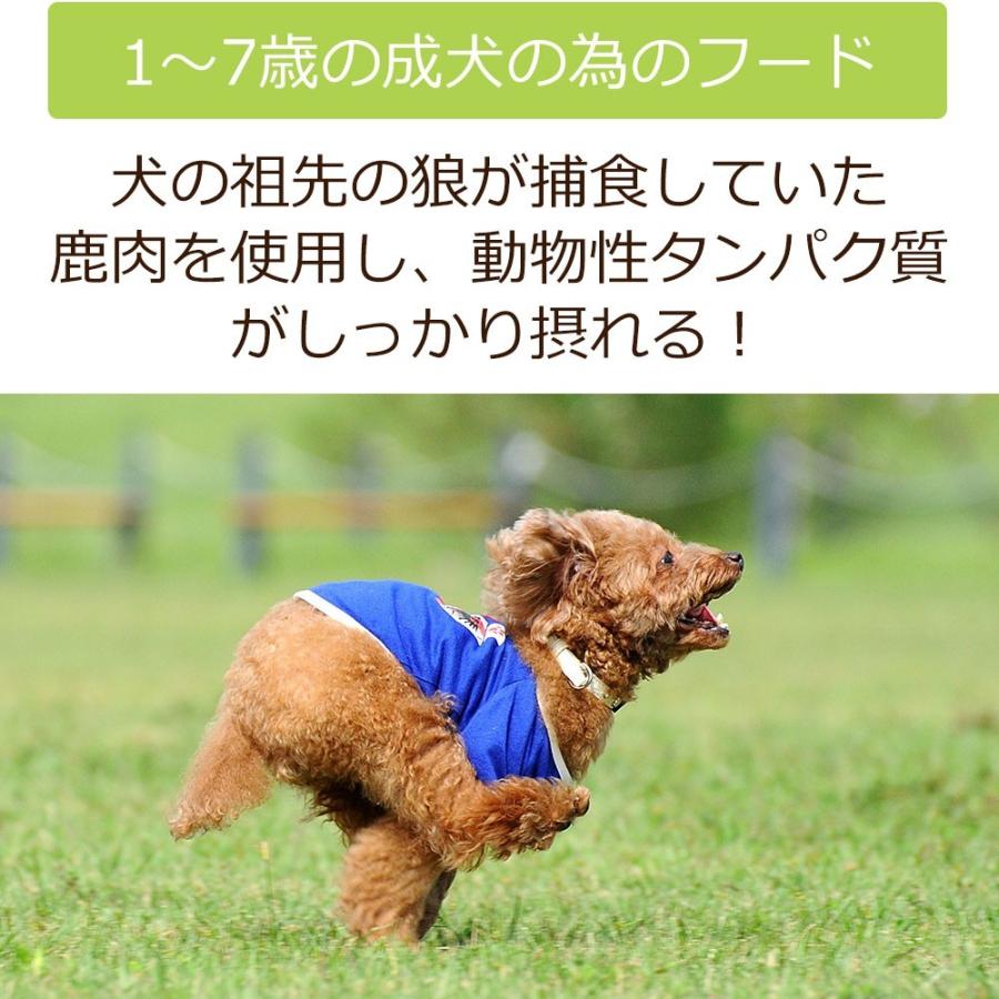 Dr.宿南のキセキのごはん 【定期購入】ドッグフード（プレミアム）成犬