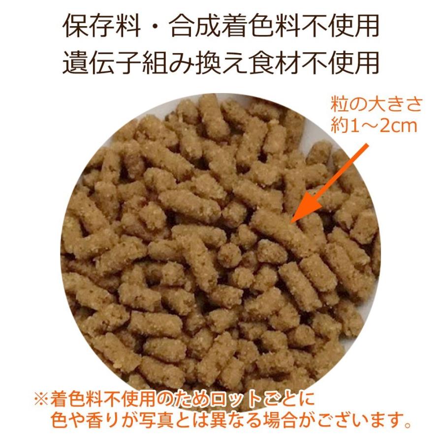 Dr.宿南のキセキのごはん 【定期購入】ドッグフード（プレミアム）成犬