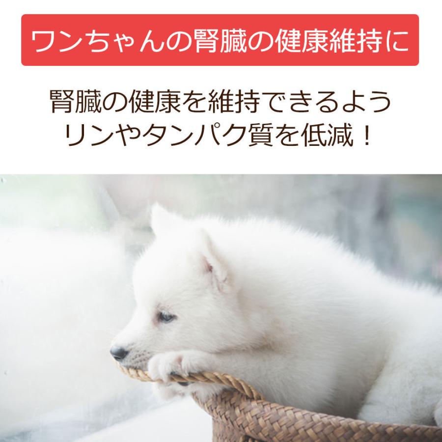 【定期購入】ドッグフード 腎臓の健康サポート 犬用療法食 1kg ・Dr.宿南のキセキのごはん 獣医師開発 鹿肉 ベニソン  犬｜sizenryouhou｜03