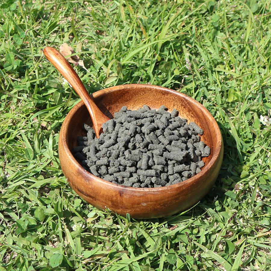 Dr.宿南のキセキのごはん 【定期購入】ドッグフード 腎臓の健康