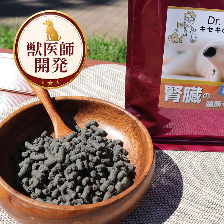 Dr.宿南のキセキのごはん ドッグフード 腎臓の健康サポート 犬用療法食