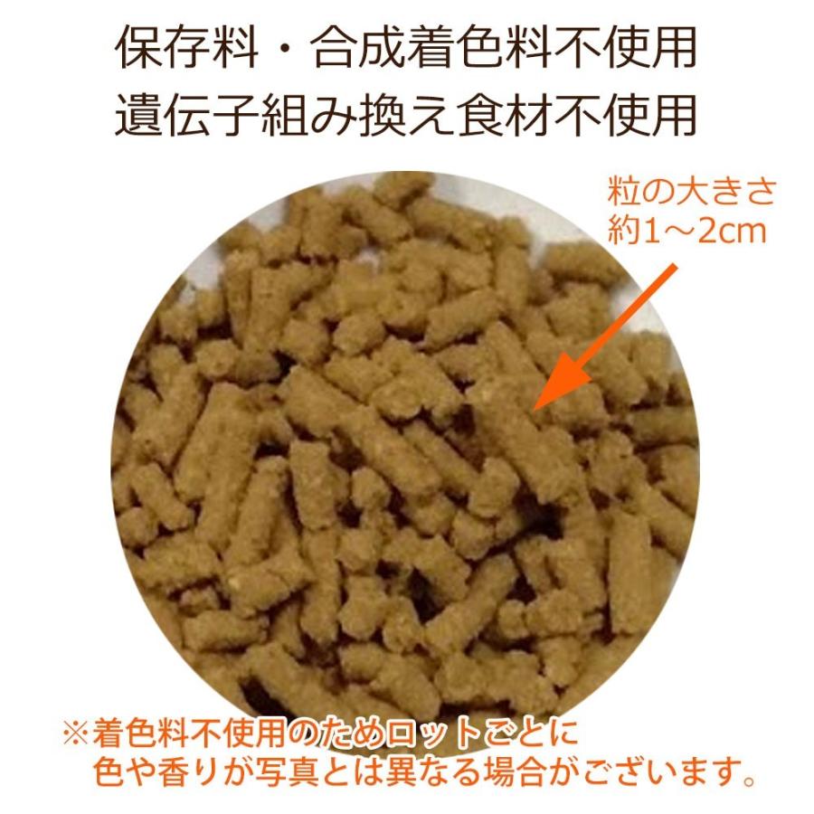 【定期購入】心臓の健康サポート ドッグフード 犬用療法食 1kg ・Dr.宿南のキセキのごはん 獣医師開発 鹿肉ドッグフード ベニソン 犬｜sizenryouhou｜04