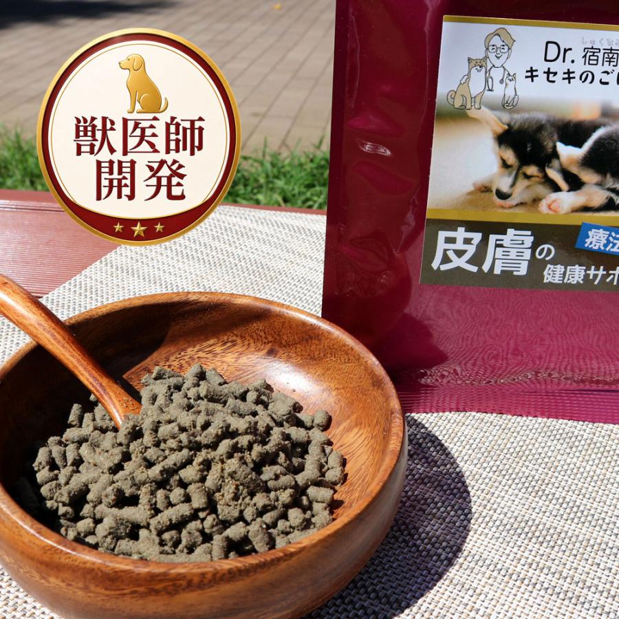 Dr.宿南のキセキのごはん 1kg 療法食×3袋 Dr.宿南のキセキのごはん ドッグフード 皮膚の健康サポート 犬用療法食