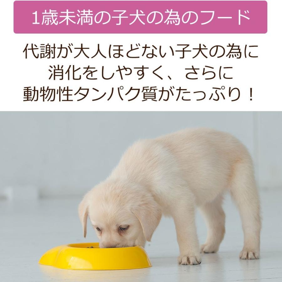 【定期購入】ドッグフード （プレミアム）子犬・パピー用 1歳未満 1kg 獣医師開発 DailyStyle デイリースタイル 鹿肉 ベニソン 犬｜sizenryouhou｜03