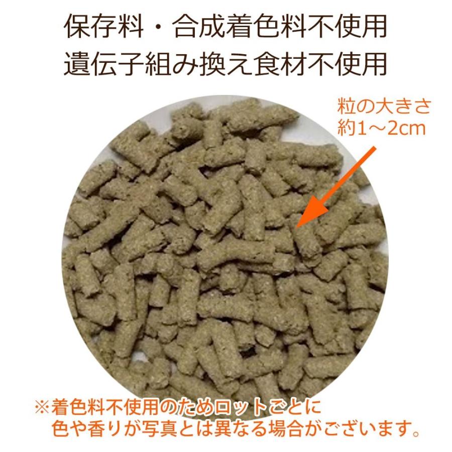 満腹感サポート（減量・ダイエット） 犬用療法食  1kg 獣医師開発 Dr.宿南のキセキのごはん 鹿肉ドッグフード ベニソン  犬 | Dr.宿南のキセキのごはん | 04