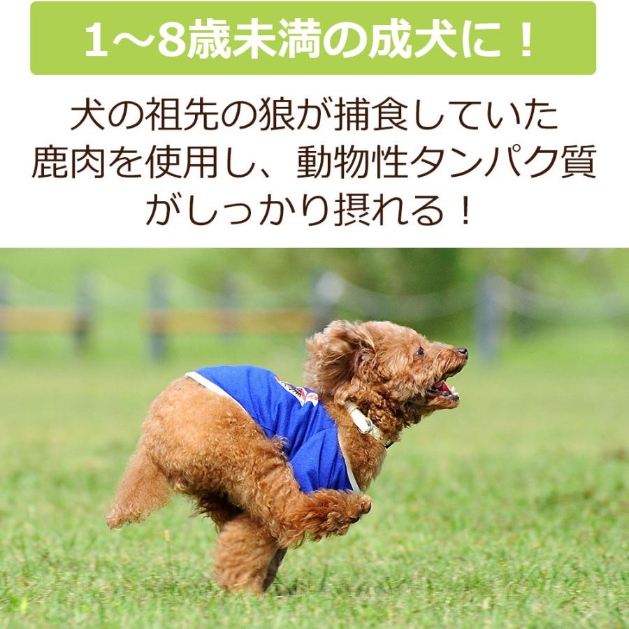 Dr.宿南のキセキのごはん ドッグフード（プレミアム）成犬用 1〜8歳