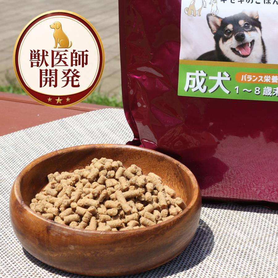 Dr.宿南のキセキのごはん ドッグフード（プレミアム）成犬用 1〜8歳