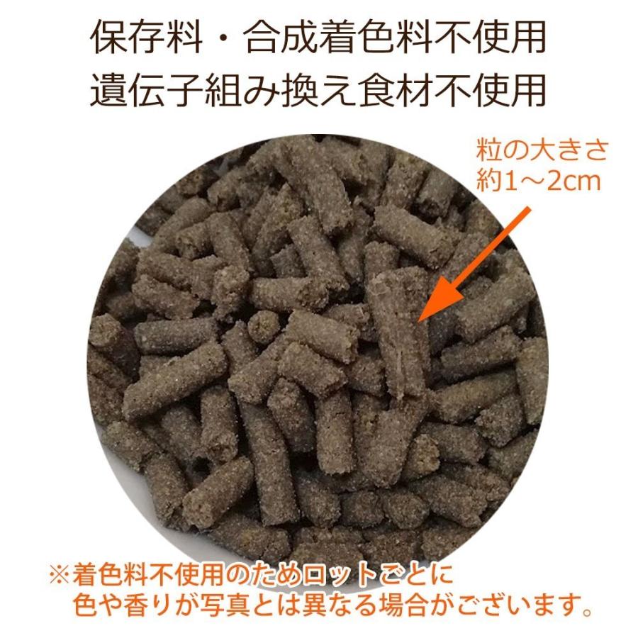 ドッグフード 腎臓の健康サポート 犬用療法食 お試しサンプル100g 送料無料 ・Dr.宿南のキセキのごはん 獣医師開発 国産 鹿肉 ベニソン 犬 :esm037:獣医師・宿南章の愛情ごはん療法食 - 通販 - Yahoo!ショッピング ドッグフード 腎臓の健康サポート 犬用療法食 お試しサンプル100g 送料無料 ・Dr.宿南のキセキのごはん 獣医師開発 国産 鹿肉 ベニソン 犬 :esm037:獣医師・宿南章の愛情ごはん療法食 - 通販 - Yahoo!ショッピング