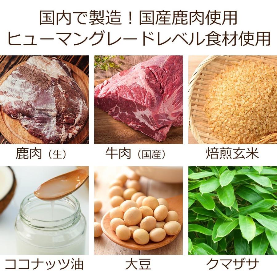 ドッグフード 腎臓の健康サポート 犬用療法食 お試しサンプル100g 送料無料 ・Dr.宿南のキセキのごはん 獣医師開発 国産 鹿肉 ベニソン 犬 :esm037:獣医師・宿南章の愛情ごはん療法食 - 通販 - Yahoo!ショッピング ドッグフード 腎臓の健康サポート 犬用療法食 お試しサンプル100g 送料無料 ・Dr.宿南のキセキのごはん 獣医師開発 国産 鹿肉 ベニソン 犬 :esm037:獣医師・宿南章の愛情ごはん療法食 - 通販 - Yahoo!ショッピング