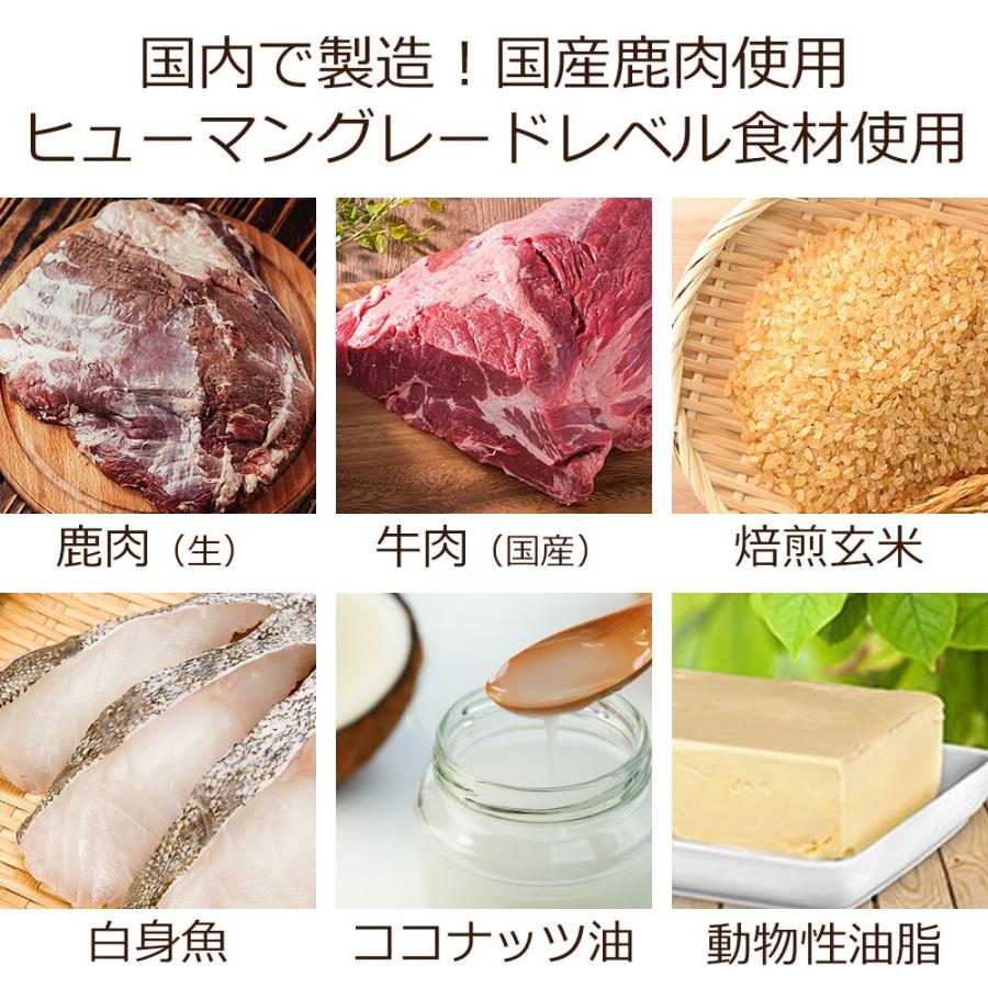 心臓の健康サポート ドッグフード 犬用療法食 100g 初回お試しサンプル 送料無料 ・Dr.宿南のキセキのごはん 獣医師開発 鹿肉ドッグフード ベニソン 犬｜sizenryouhou｜05