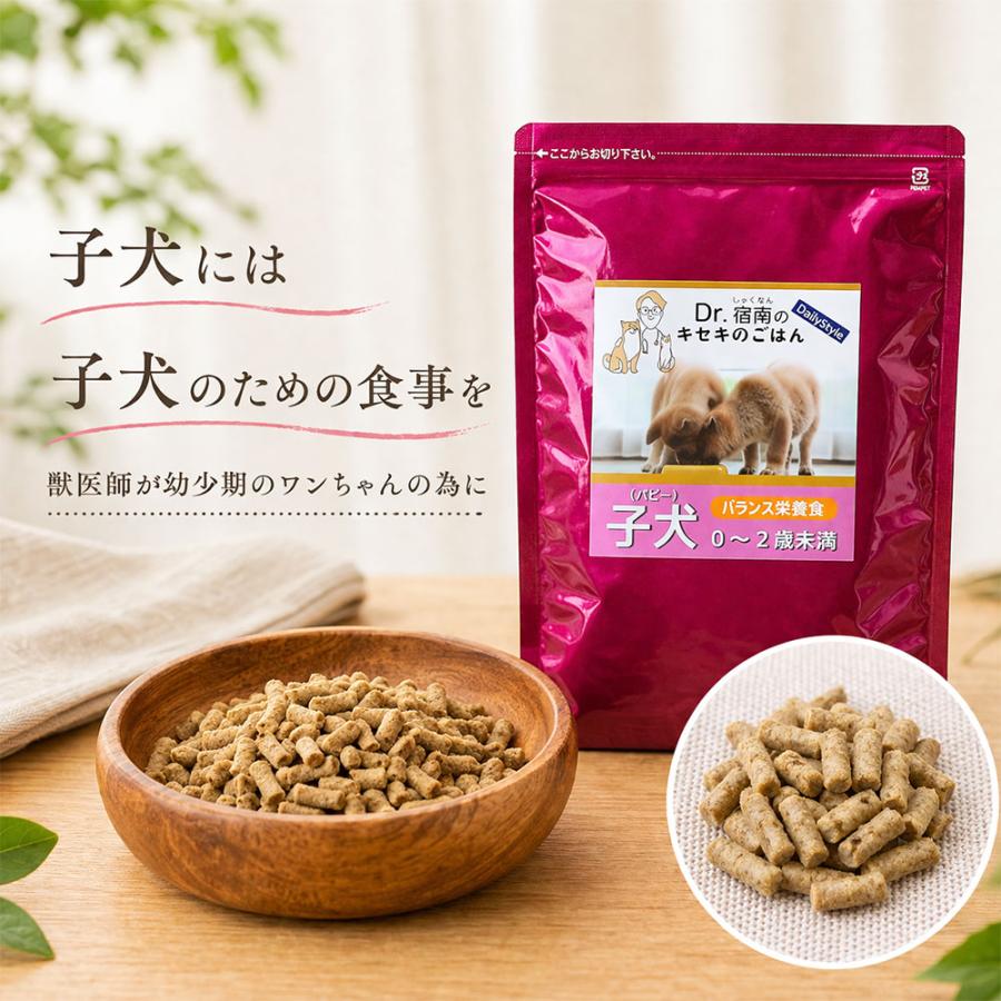 Dr.宿南のキセキのごはん ドッグフード 子犬・パピー用 0~2歳未満 100g