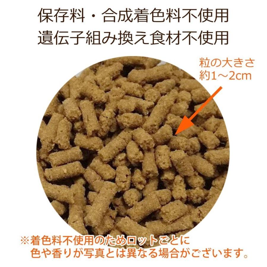 Dr.宿南のキセキのごはん ドッグフード 子犬・パピー用 1歳未満