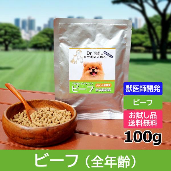 Dr.宿南のキセキのごはん 犬用ドッグフード DailyStyle ビーフ 全年齢