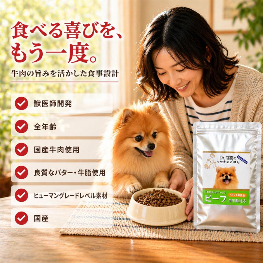 Dr.宿南のキセキのごはん ビーフ（牛肉）ドッグフード 全年齢用100g