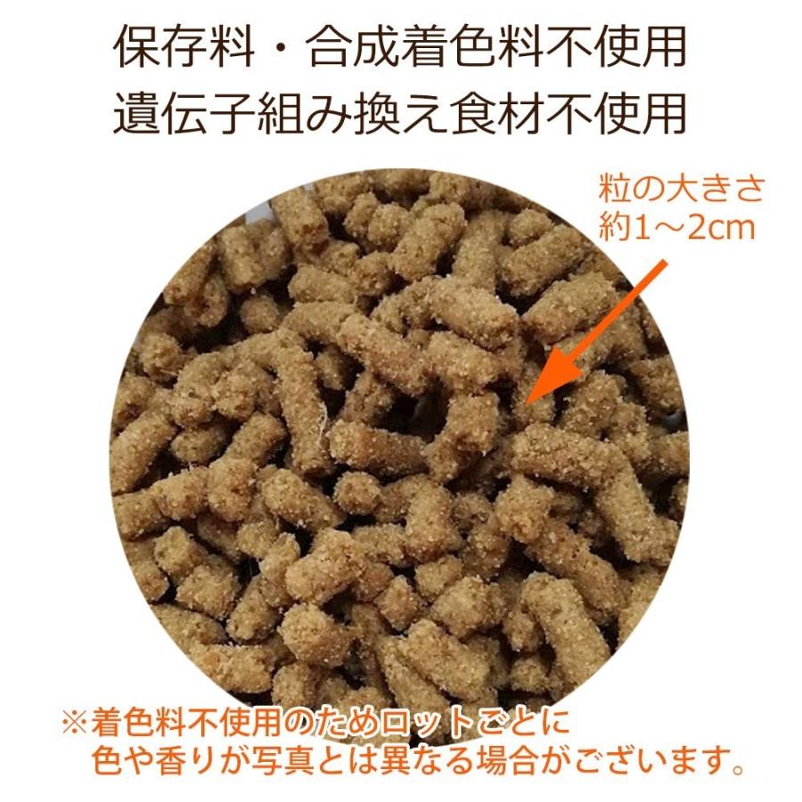 Dr.宿南のキセキのごはん ビーフ（牛肉）ドッグフード 全年齢用100g