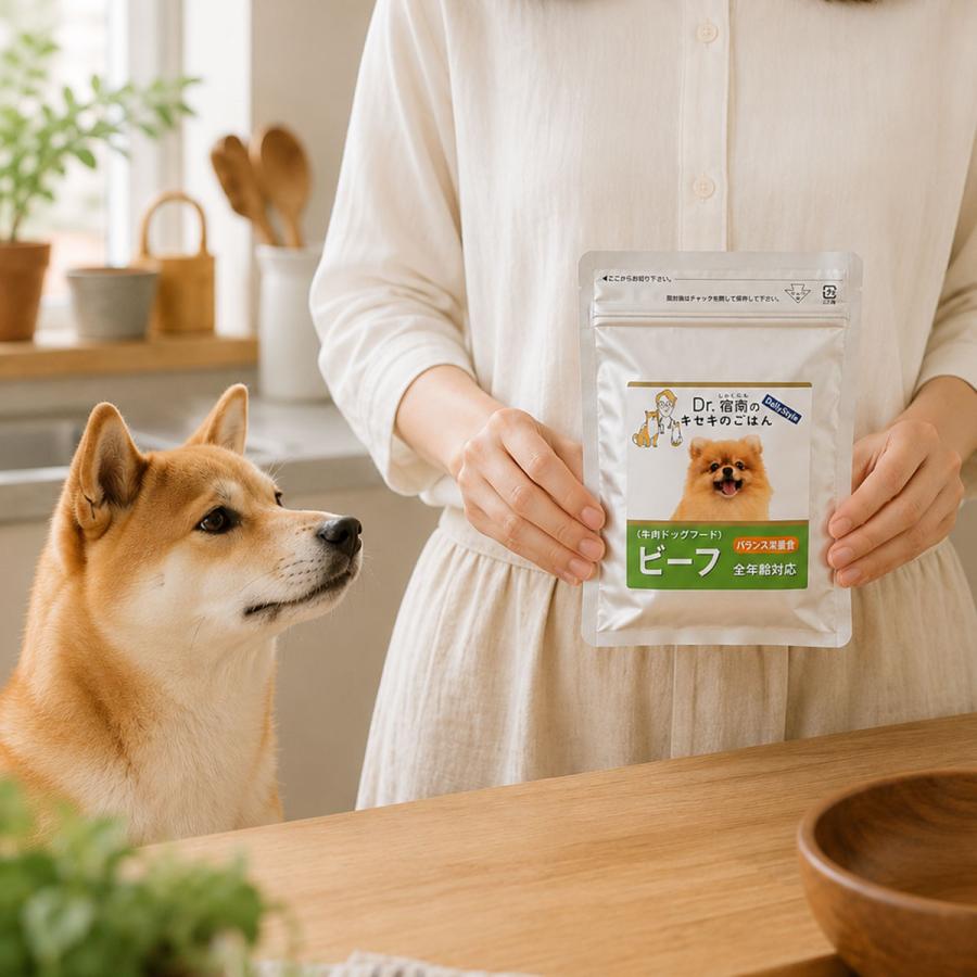 Dr.宿南のキセキのごはん 犬用ドッグフード DailyStyle ビーフ 全年齢