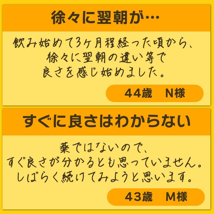 ＼公式／ しじみ習慣（60粒入り）約3ヶ月分 / オルニチン しじみ 必須アミノ酸 アミノ酸 ビタミン 亜鉛 鉄分 カルシウム しじみエキス しじみサプリ シジミ_16