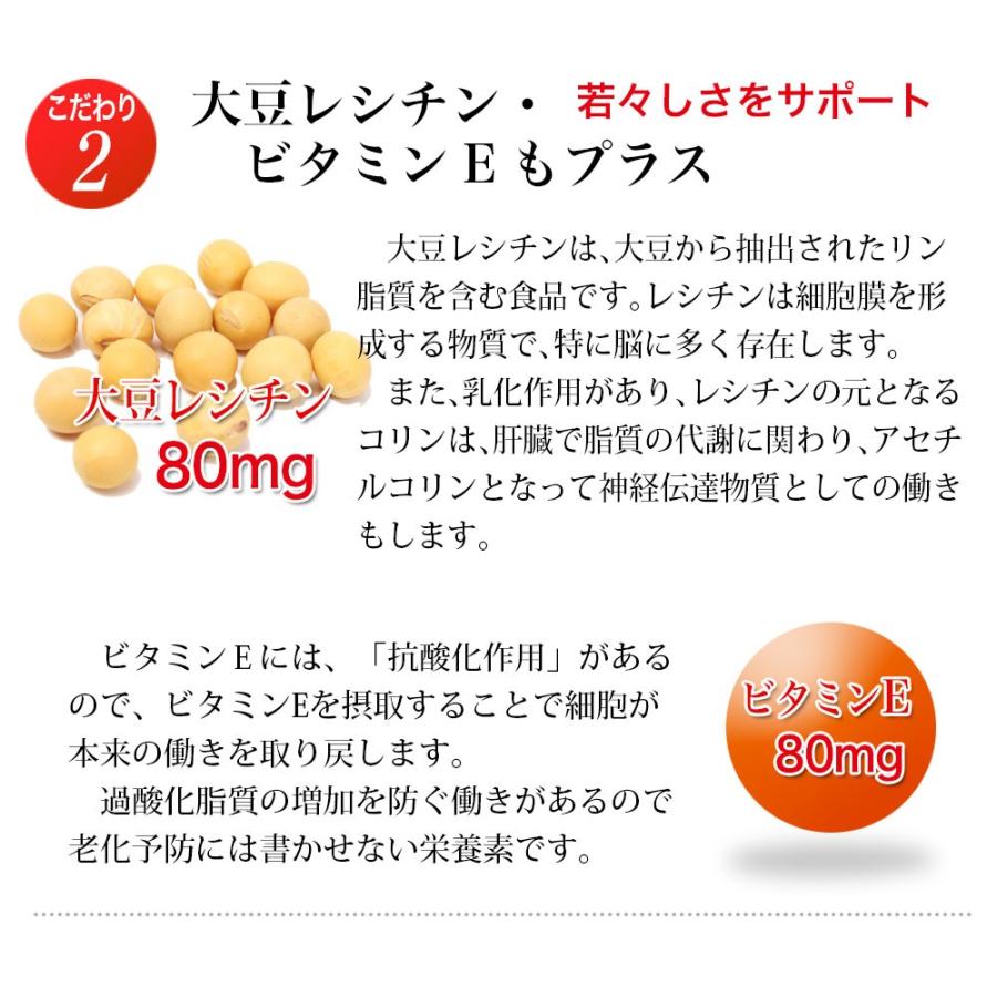 DHA・イチョウ葉プラス 80粒入×3袋（約120日分）DHA EPA オメガ3 サプリ イチョウ葉 大豆レシチン ビタミンE ・2袋以上購入