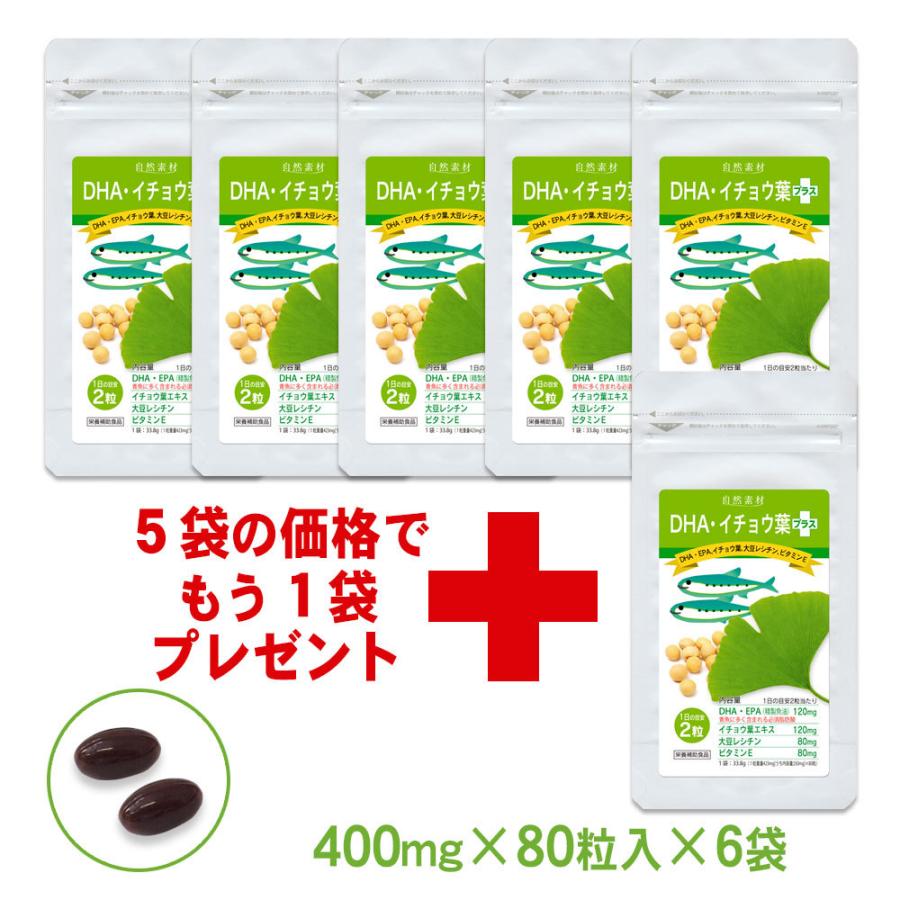 DHA・イチョウ葉プラス 80粒入×6袋（約8カ月分）DHA EPA オメガ３ サプリ  イチョウ葉 大豆レシチン ビタミンE ・2袋以上購入で5日分サンプル付