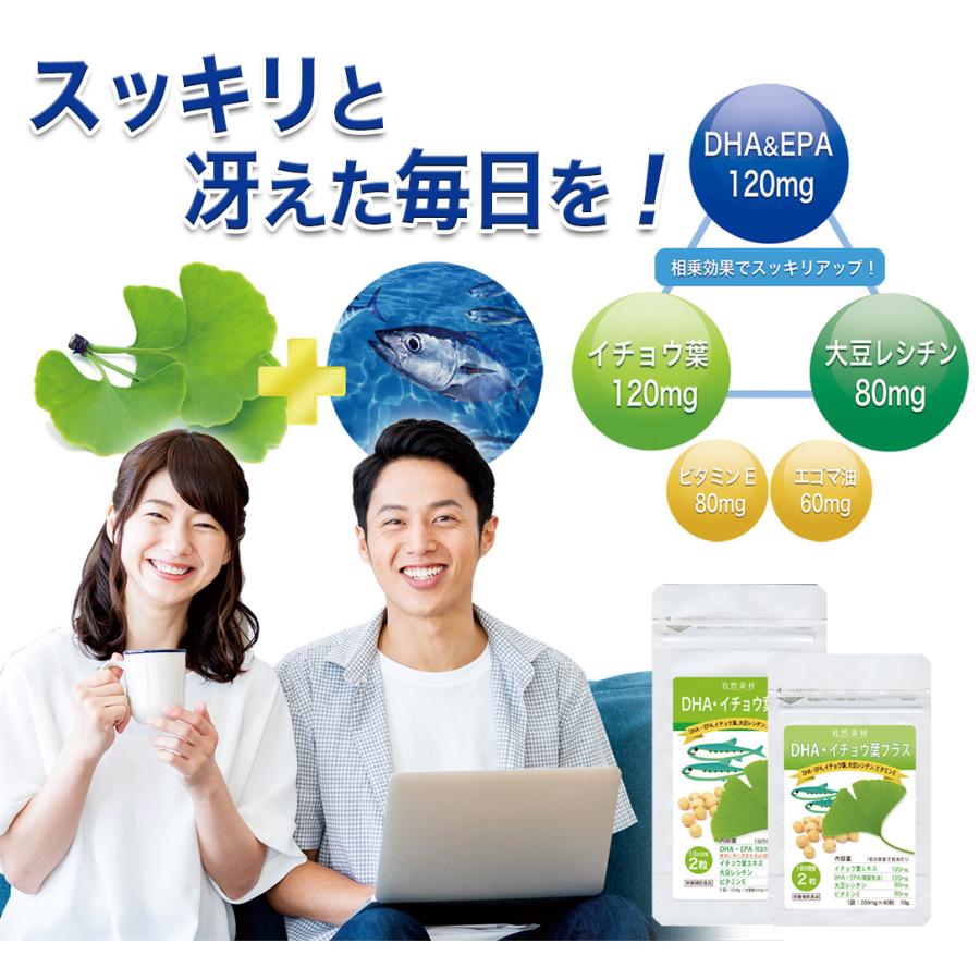 DHA・イチョウ葉プラス 80粒入×6袋（約8カ月分）DHA EPA オメガ３ サプリ  イチョウ葉 大豆レシチン ビタミンE ・2袋以上購入で5日分サンプル付｜sizensozaishop｜02