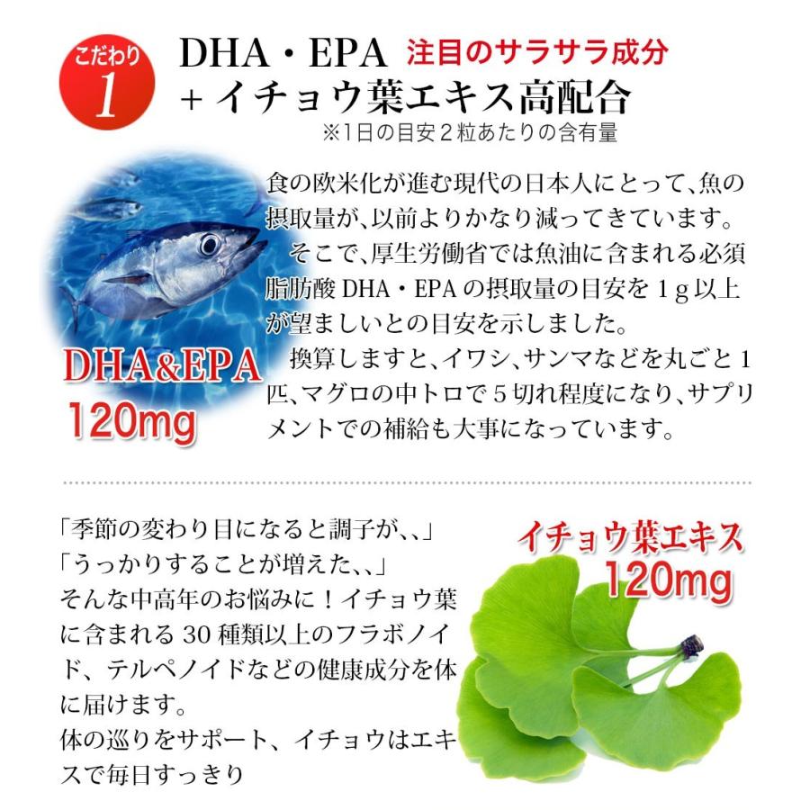 イチョウ葉 エキス サプリ 80粒入り 6袋 （240日分） DHA EPA ギンコビロバ オメガ3脂肪酸 大豆レシチン ビタミンE 大日ヘルシーフーズの画像