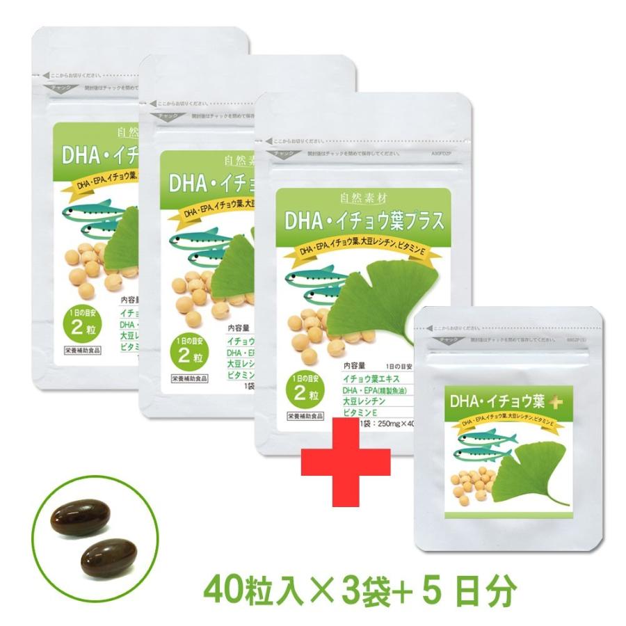 DHA EPA イチョウ葉プラス40粒入×3袋（約60日分）DHA EPA イチョウ葉 大豆レシチン ビタミンE入 サプリメント 5日分増量