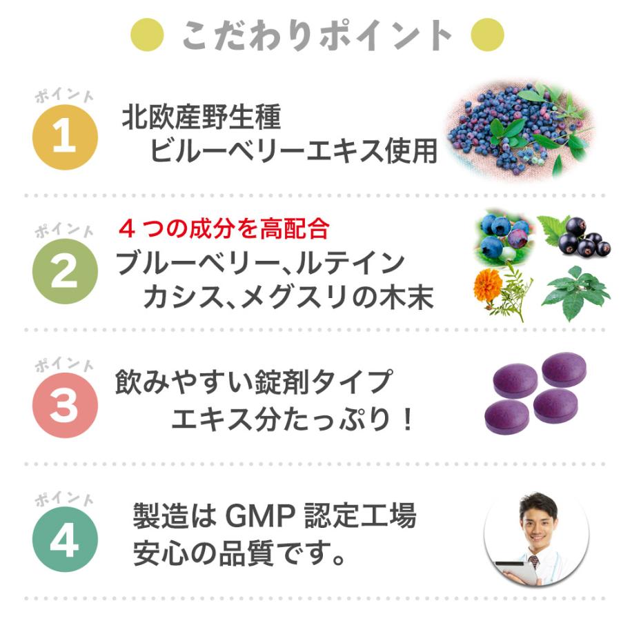 ブルーベリー ルテイン サプリ 120粒入 1袋（30日分