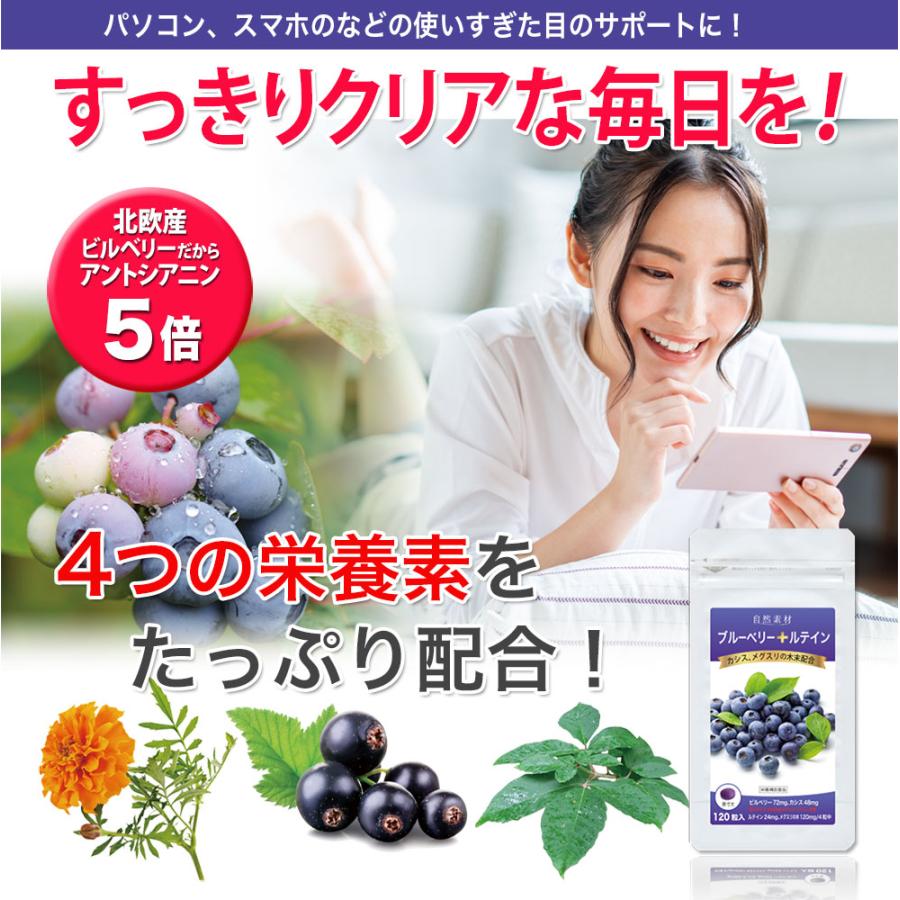 ブルーベリー ルテイン サプリ 120粒入 2袋（60日分