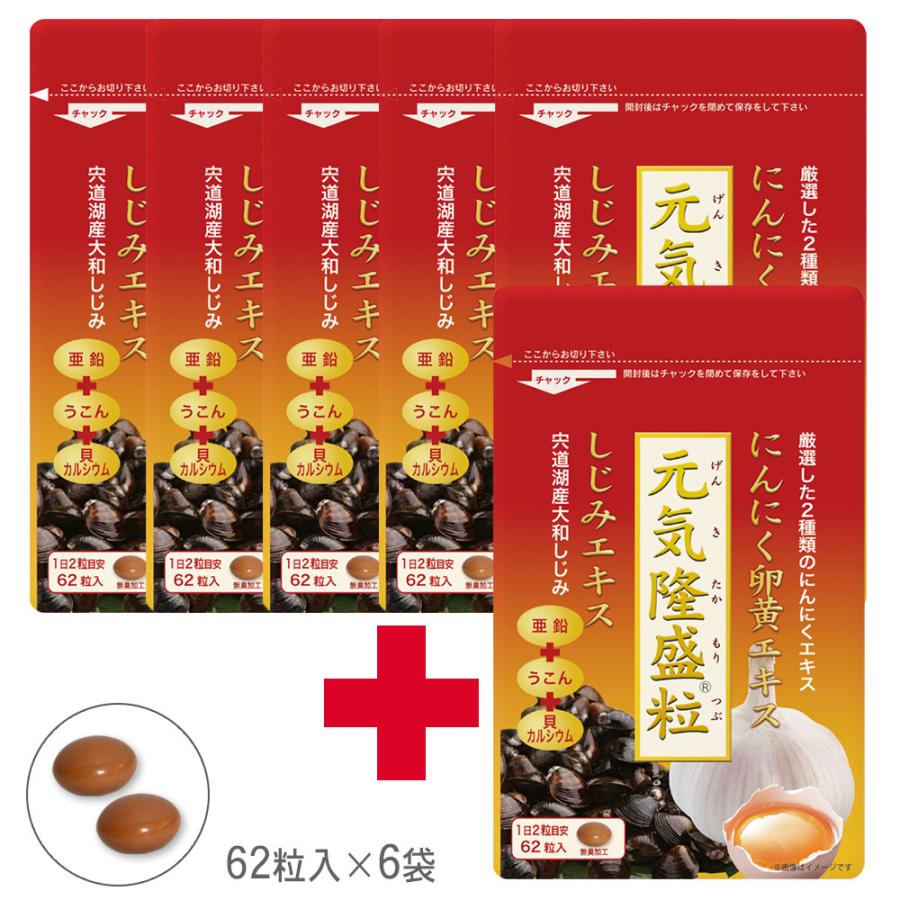 女性が喜ぶ 元気隆盛粒 62粒入 6袋セット 6ヶ月分 にんにく卵黄 しじみ ウコン 亜鉛 配合 糖衣粒タイプ サプリメント 大日ヘルシーフーズ Wantannas Go Id