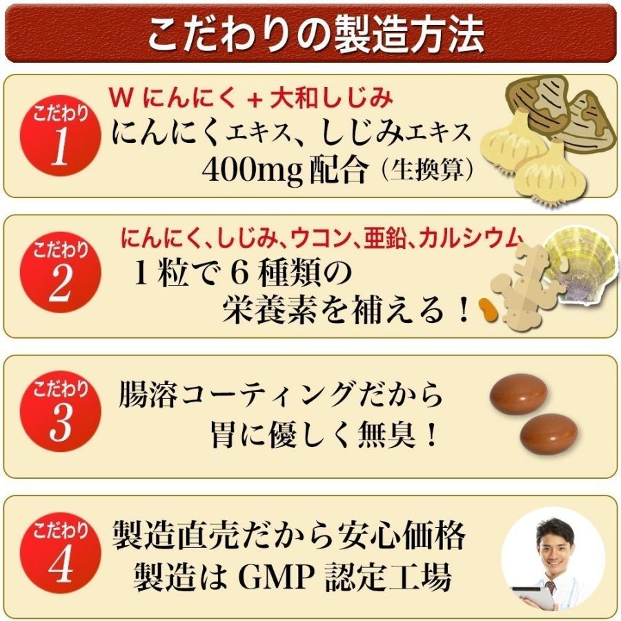 女性が喜ぶ 元気隆盛粒 62粒入 6袋セット 6ヶ月分 にんにく卵黄 しじみ ウコン 亜鉛 配合 糖衣粒タイプ サプリメント 大日ヘルシーフーズ Wantannas Go Id