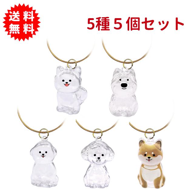 わんこのタイムカプセル　５種４５個セット　愛犬の毛の入れ物 わんこのタイムカプセル 5種5個セット 毛玉 けだま 愛犬の毛の入れ物