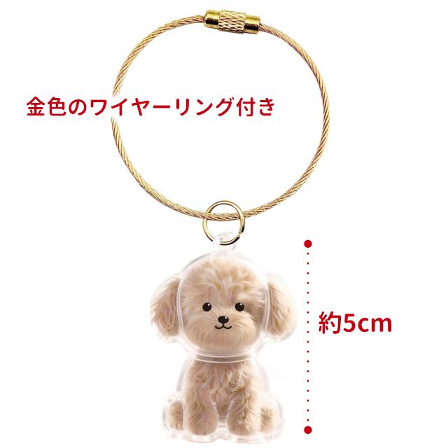 わんこのタイムカプセル　５種４５個セット　愛犬の毛の入れ物 わんこのタイムカプセル 5種5個セット 毛玉 けだま 愛犬の毛の入れ物