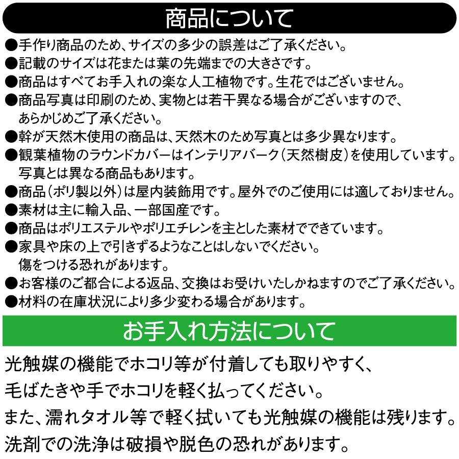 【無料★特典対象】 光触媒人工植物   株式会社アートクリエイション  インテリア フェイクグリーン スタイリッシュグリーン  フロアタイプ ベンジャミンダブ_2