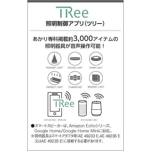 コイズミ照明 KOIZUMI 浴室灯 ダウンライト AD7200W35 温白色 防